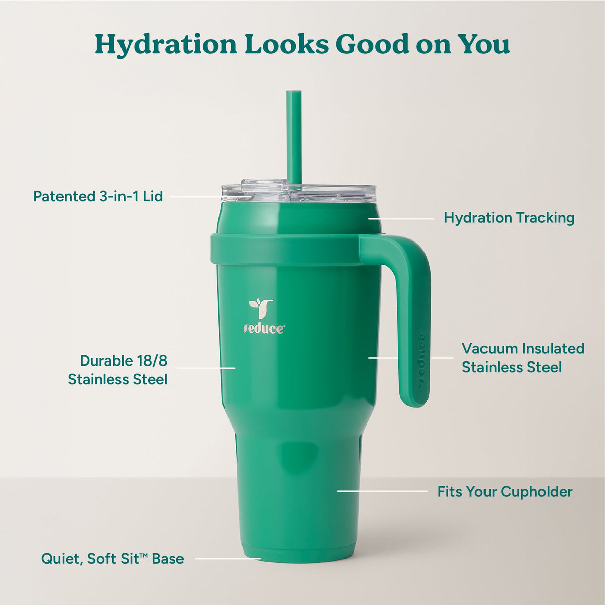 cold1-40-oz-j7 Cold1_40oz_PalmLeaf_Infographic_2.jpg