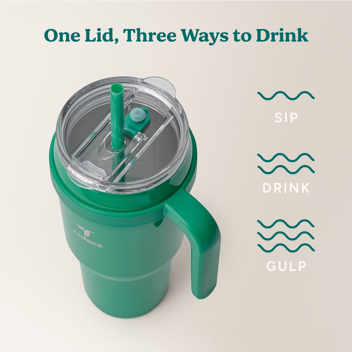 cold1-40-oz-j7 Cold1_40oz_PalmLeaf_Infographic_3.jpg